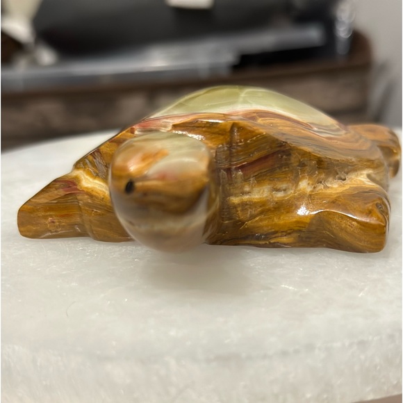 Onyx turtle 🐢 - Picture 1 of 3